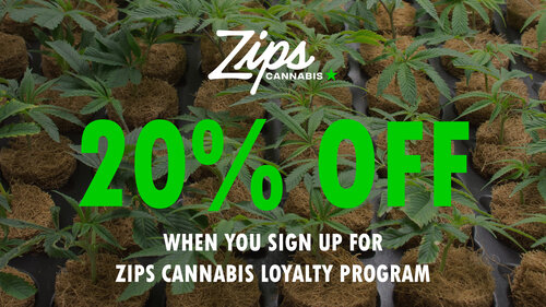Zips Cannabis loyalty signup
