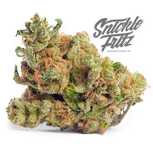 Snickle Fritz cannabis
